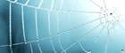 webdesign140x60